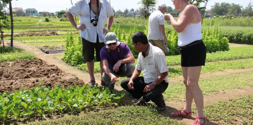 Cycling-to-Tra-Que-Herb-Village-Join-Cooking-class3